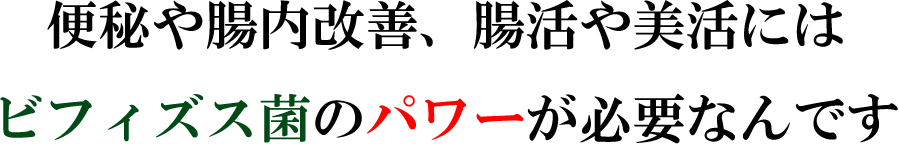 便秘や腸内改善、腸活や美活には ビフィズス菌のパワーが必要なんです